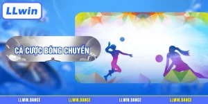 Cá cược bóng chuyền