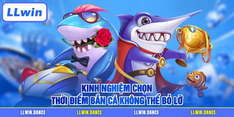 Kinh nghiệm chọn thời điểm bắn cá không thể bỏ lỡ